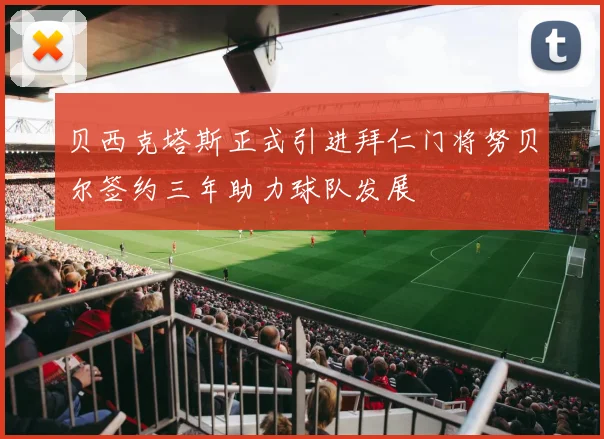 贝西克塔斯正式引进拜仁门将努贝尔签约三年助力球队发展