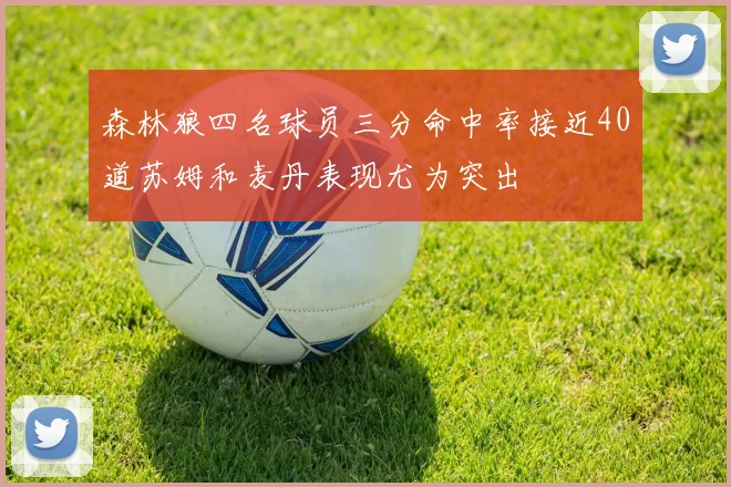 森林狼四名球员三分命中率接近40道苏姆和麦丹表现尤为突出