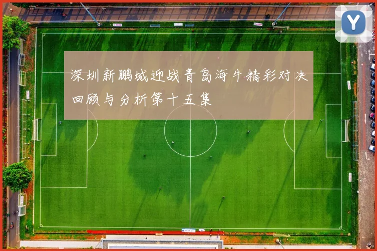 深圳新鹏城迎战青岛海牛精彩对决回顾与分析第十五集